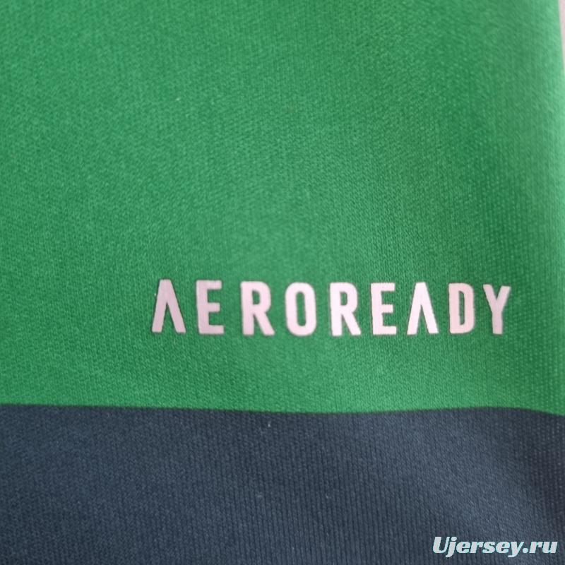 Retro 10/11 Palmeiras Home Soccer Jersey