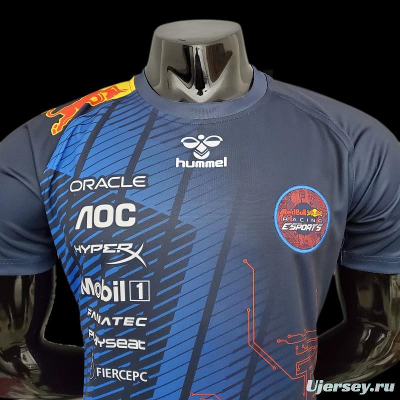 F1 Red Bull Gaming Edition 