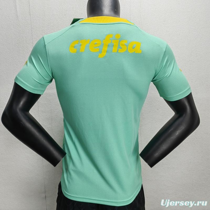 Fans Version 22/23 Palmeiras Green Special Jersey