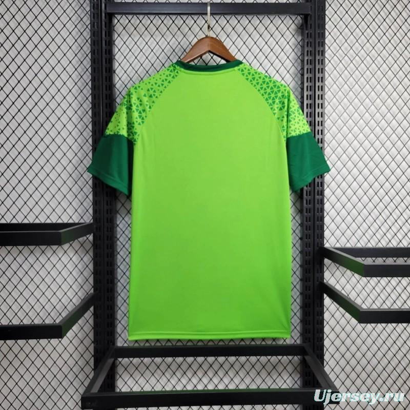 24/25 Palmeiras Green Training Jersey