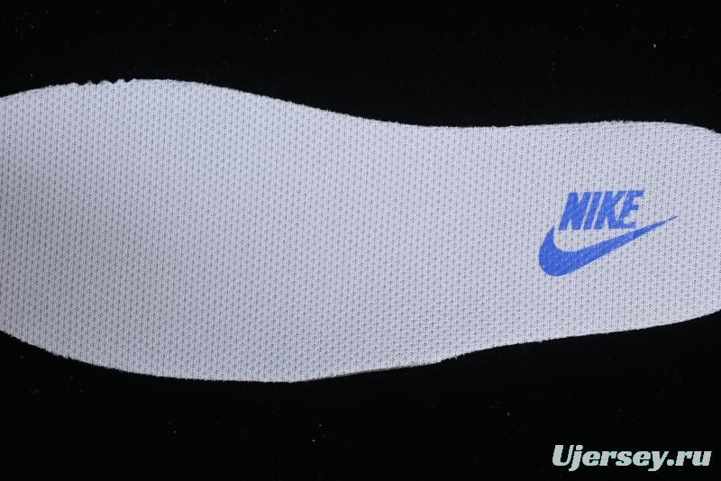 Nike Dunk Low SB Skateboarding Shoes - FD2562-300