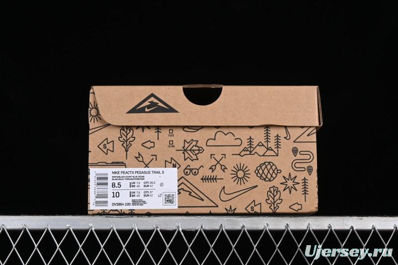 Nike Pegasus Trail 5 Off-Road Series Lightweight Comfortable Durable Low-Top Running Shoes - DV3864-100