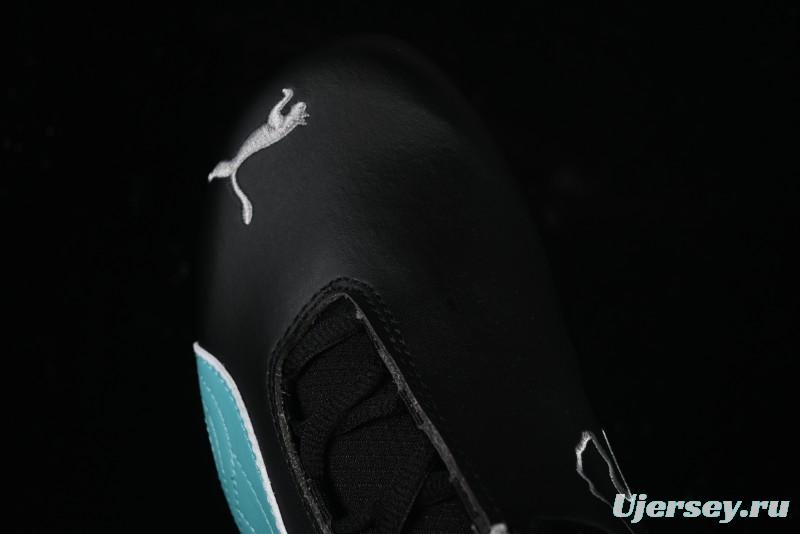 Puma Sparco Future Round Toe Lace-Up Low-Top Lifestyle Casual Shoes in Leather and Fabric - 308155-01