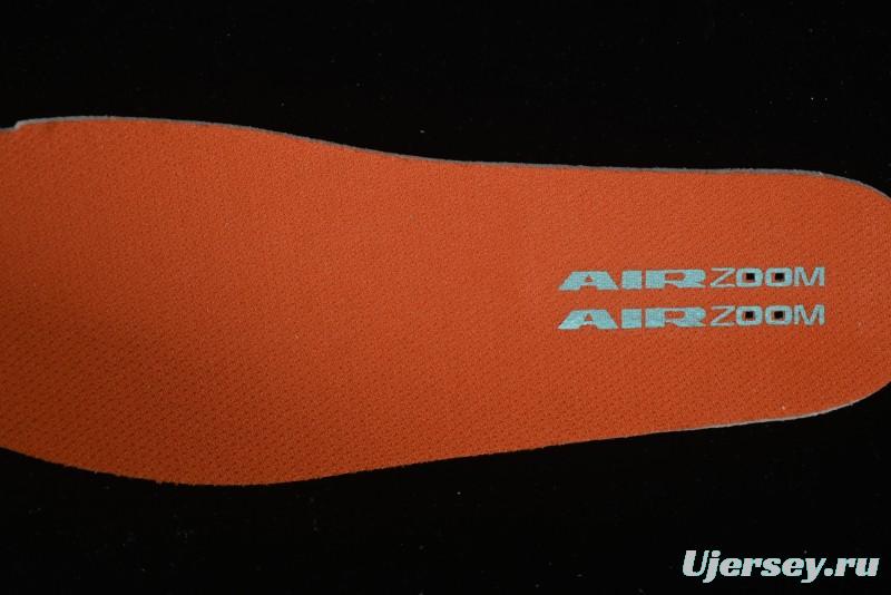 Nike SB Day One Low Top Casual Skate Shoes with Air Zoom Cushion - FN4210-301