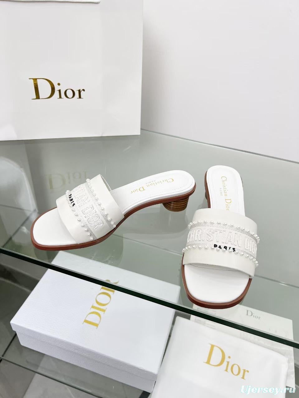 2025 Women Dior White Leather Mules Embroidered LY00210
