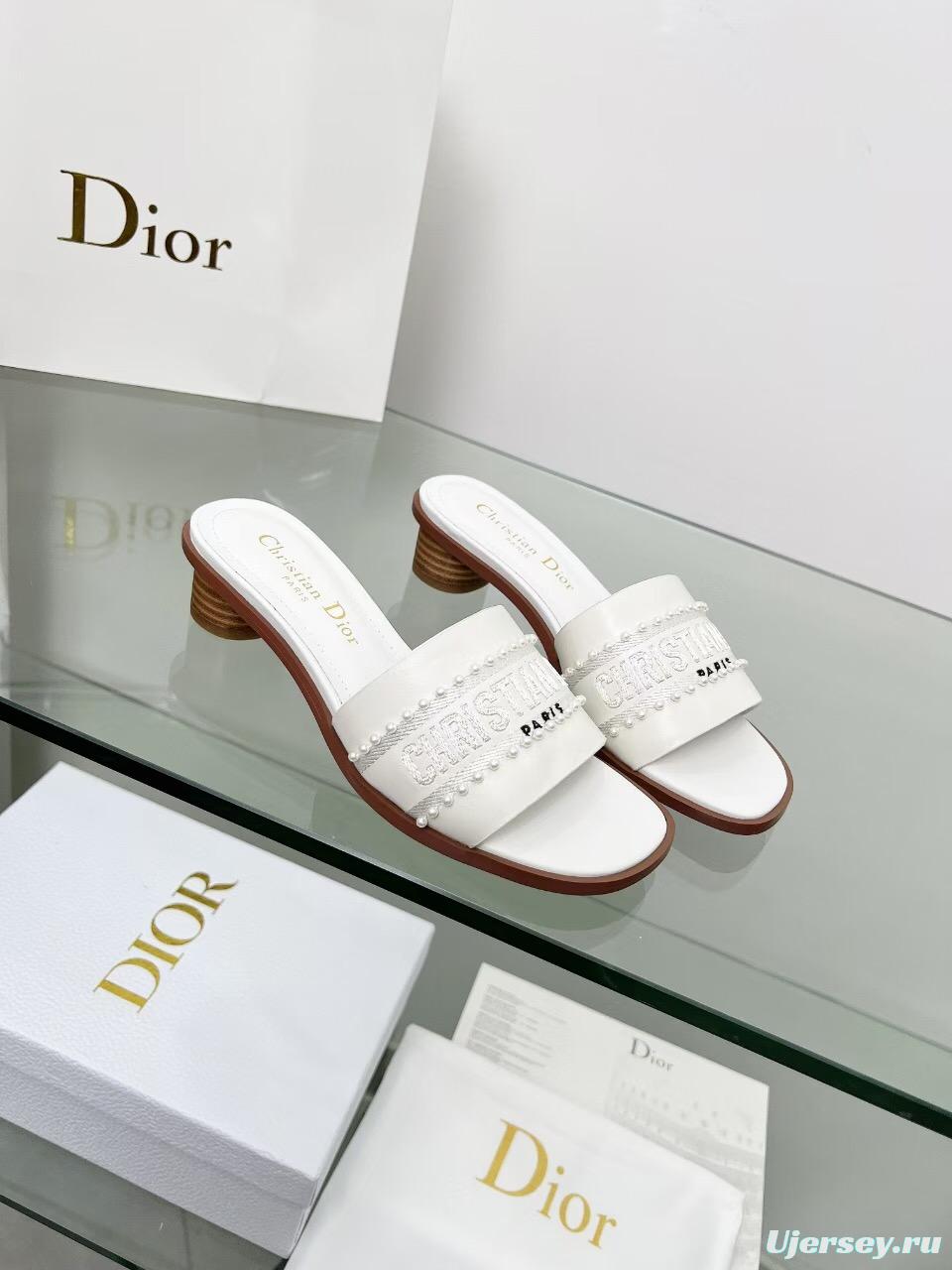 2025 Women Dior White Leather Mules Embroidered LY00210
