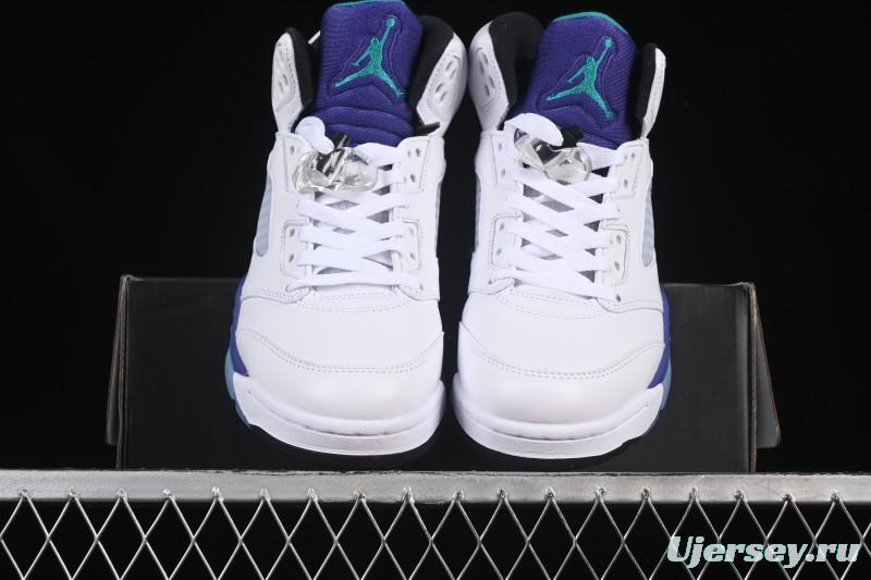 Nike Air Jordan 5 OG Grape Basketball Shoes - HQ7978-100