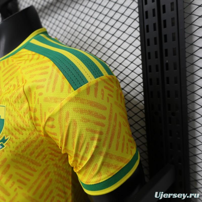 Player Version 26/27 South Africa Yellow & Green  Home Jersey (Adidas)