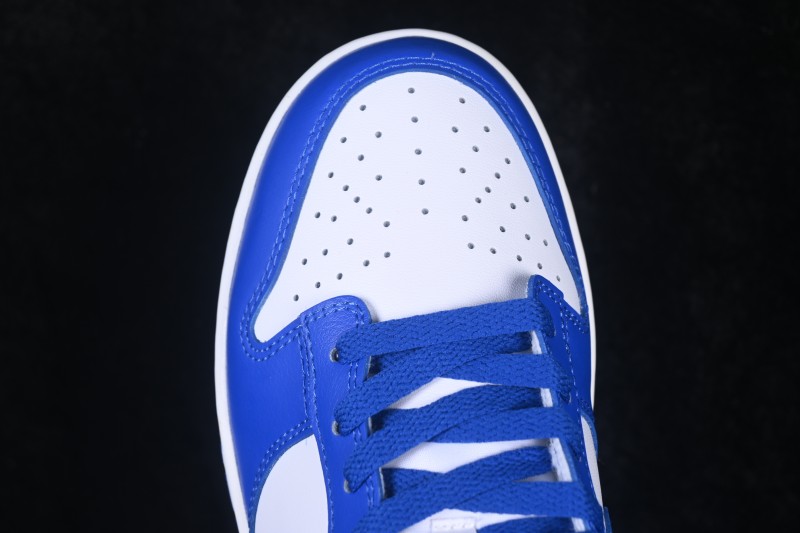 Nike SB Dunk Low Low-Top Casual Skate Shoes - HF5441-112